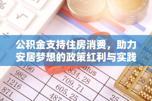 灌云公积金支持住房消费，助力安居梦想的政策红利与实践