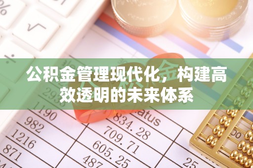 灌云公积金管理现代化，构建高效透明的未来体系