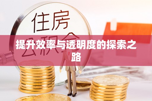 灌云提升效率与透明度的探索之路
