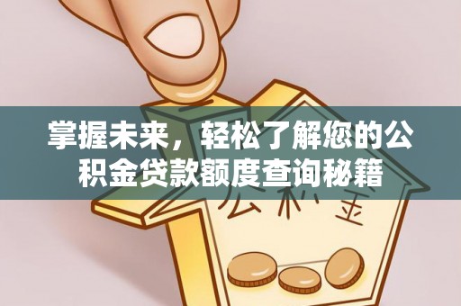 灌云掌握未来，轻松了解您的公积金贷款额度查询秘籍