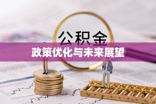 灌云政策优化与未来展望